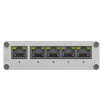 5 x 10/100/1000 Mbps RJ45 Ports des Teltonika TSW110 Gigabit Switch